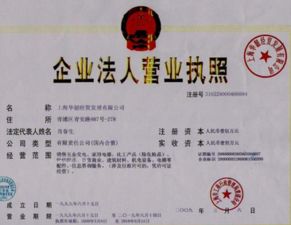 有限責任公司法人代表變更